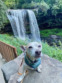 Dry falls