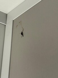 Wand im Schlafzimmer