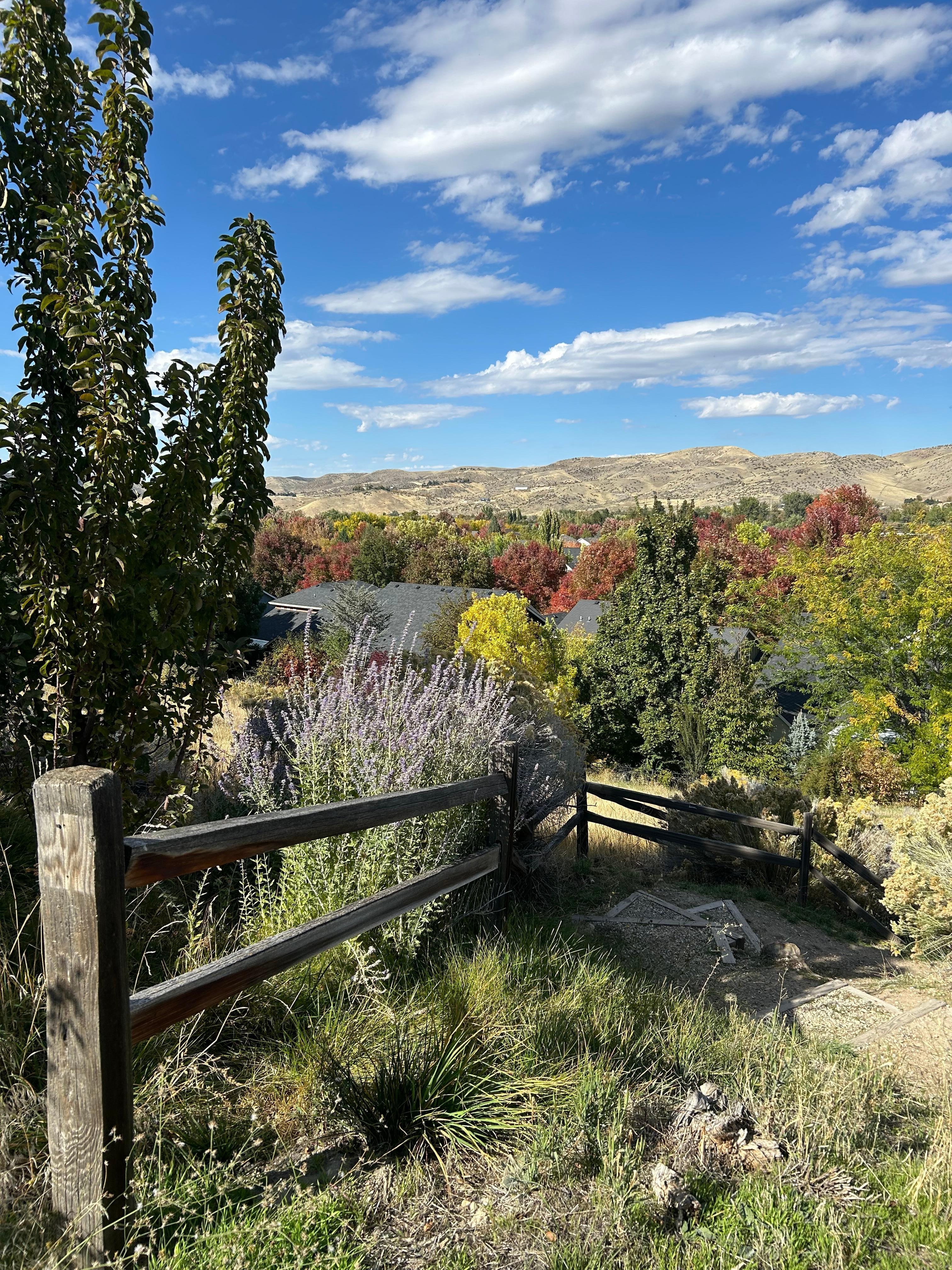 Excellent trails and outdoors.