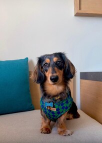 Sobre todo recibieron a nuestro Chase como como huésped más 😍