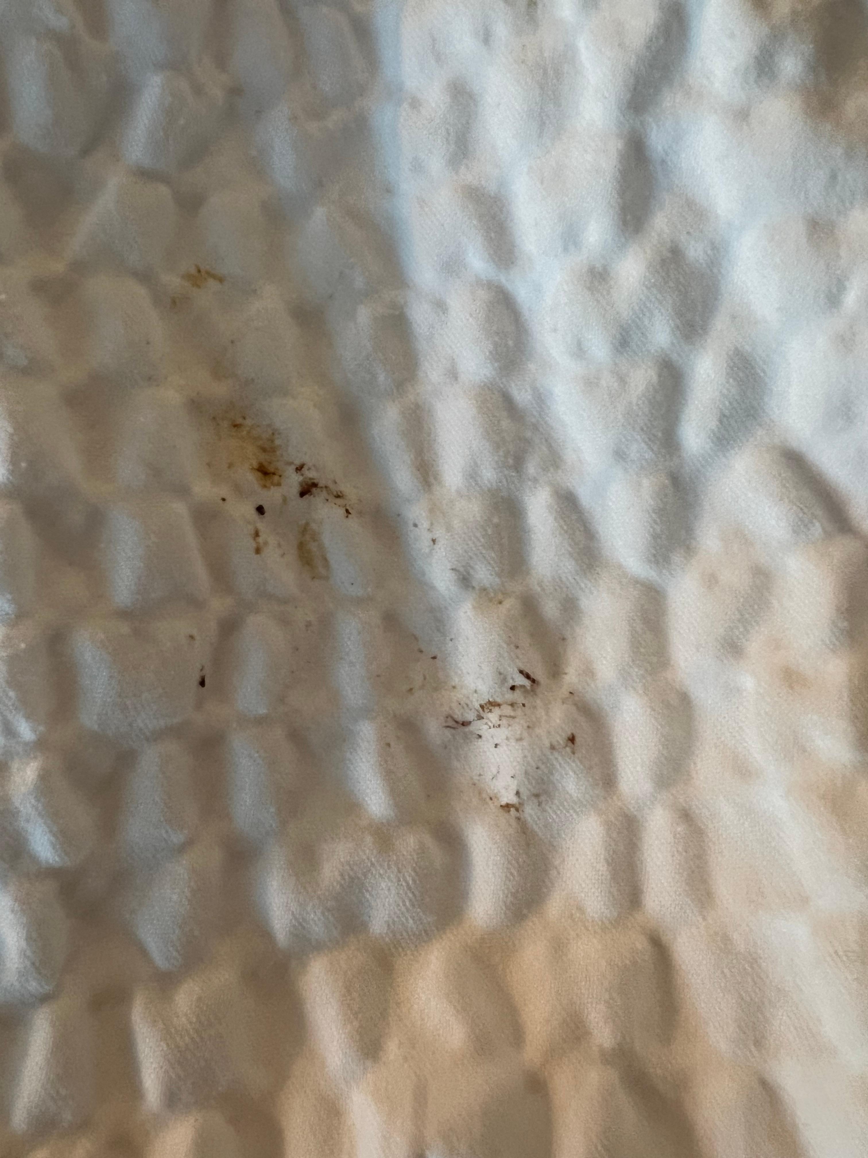 Dirty crusty sheets