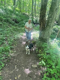 Great Trail on Property