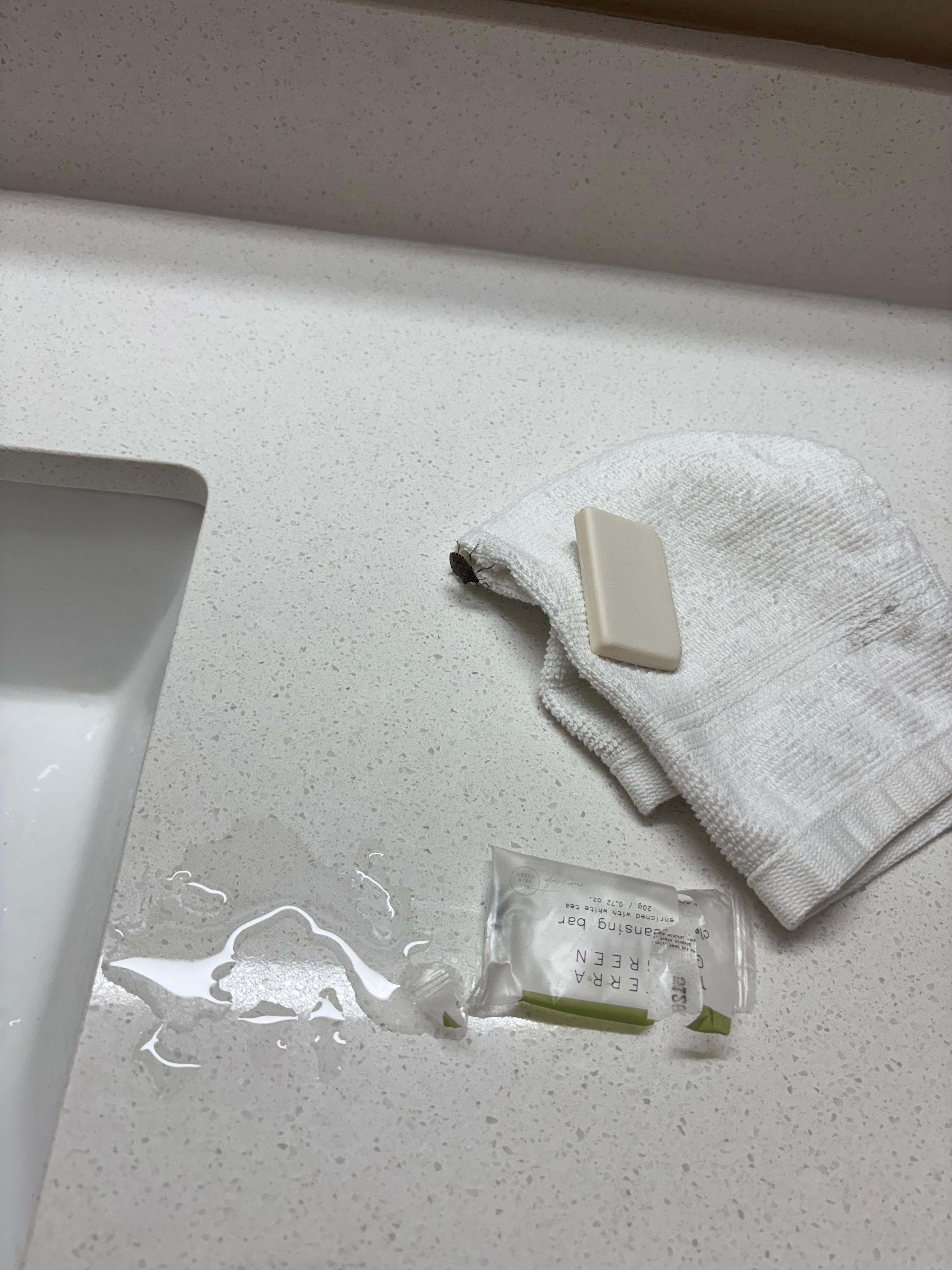 My feedback not to show that I don't like or reporting but I do really hope that you can improve the quality. Thanks.