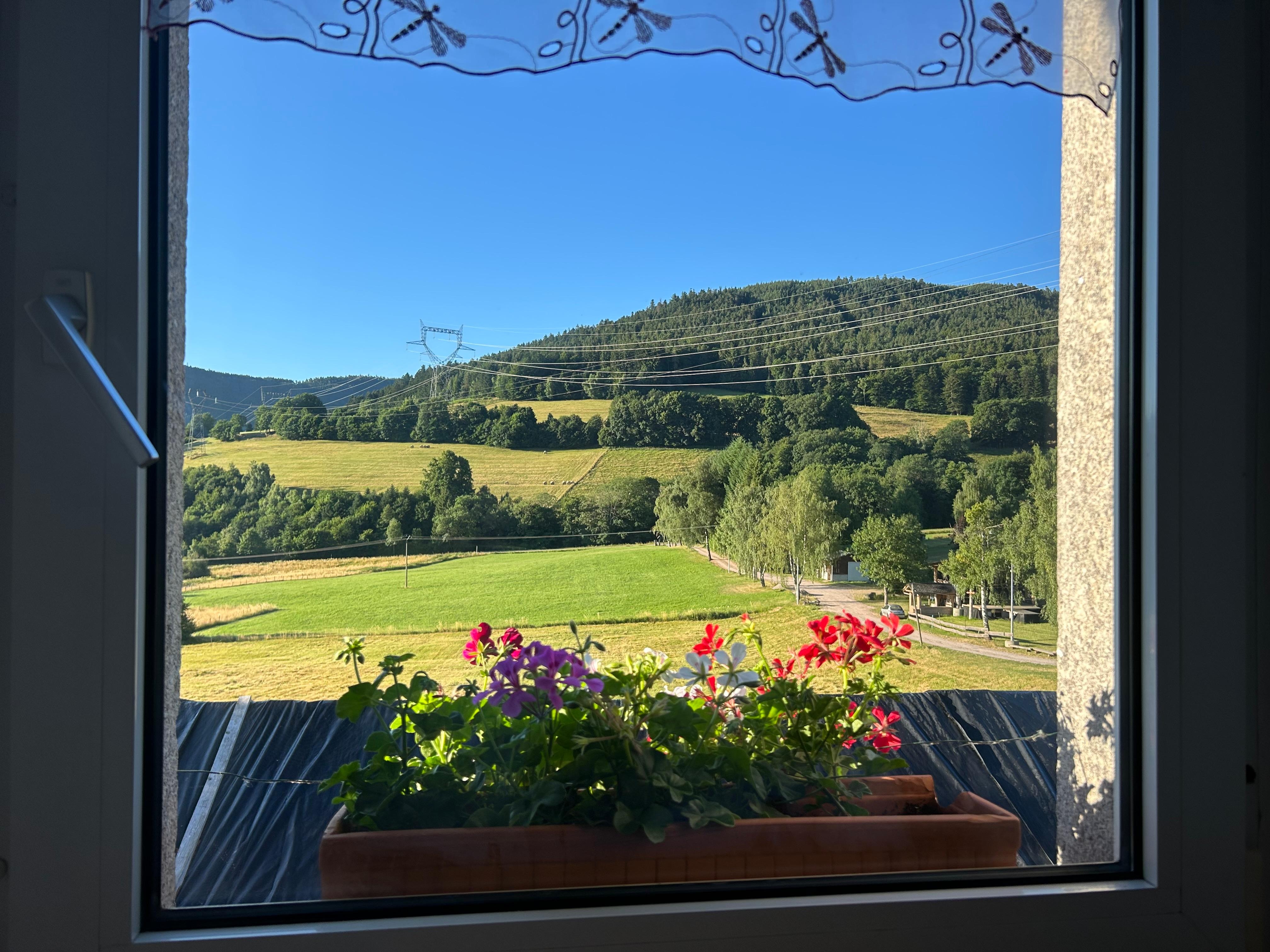 Vue de la chambre