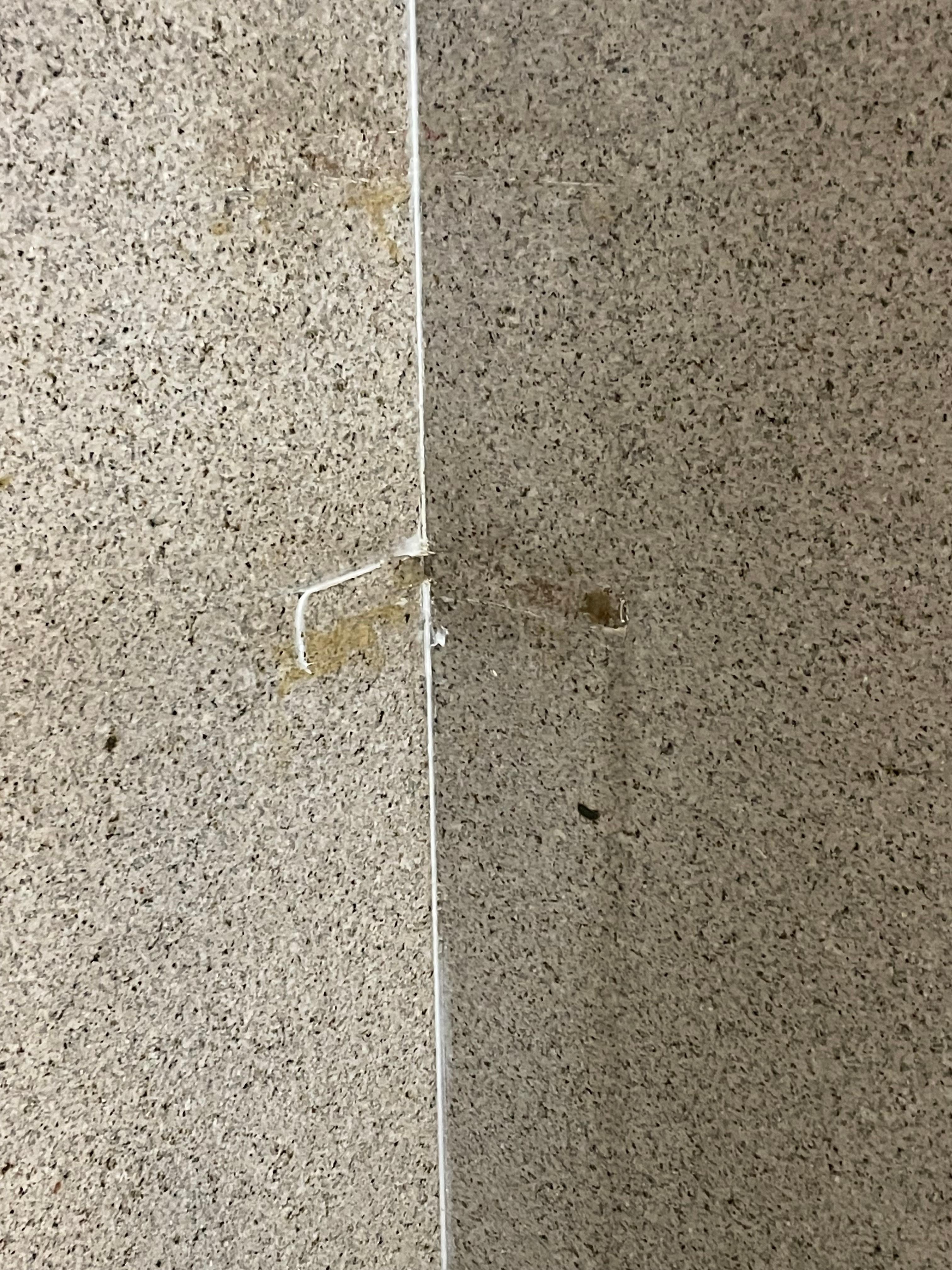 Soap dish removed from shower