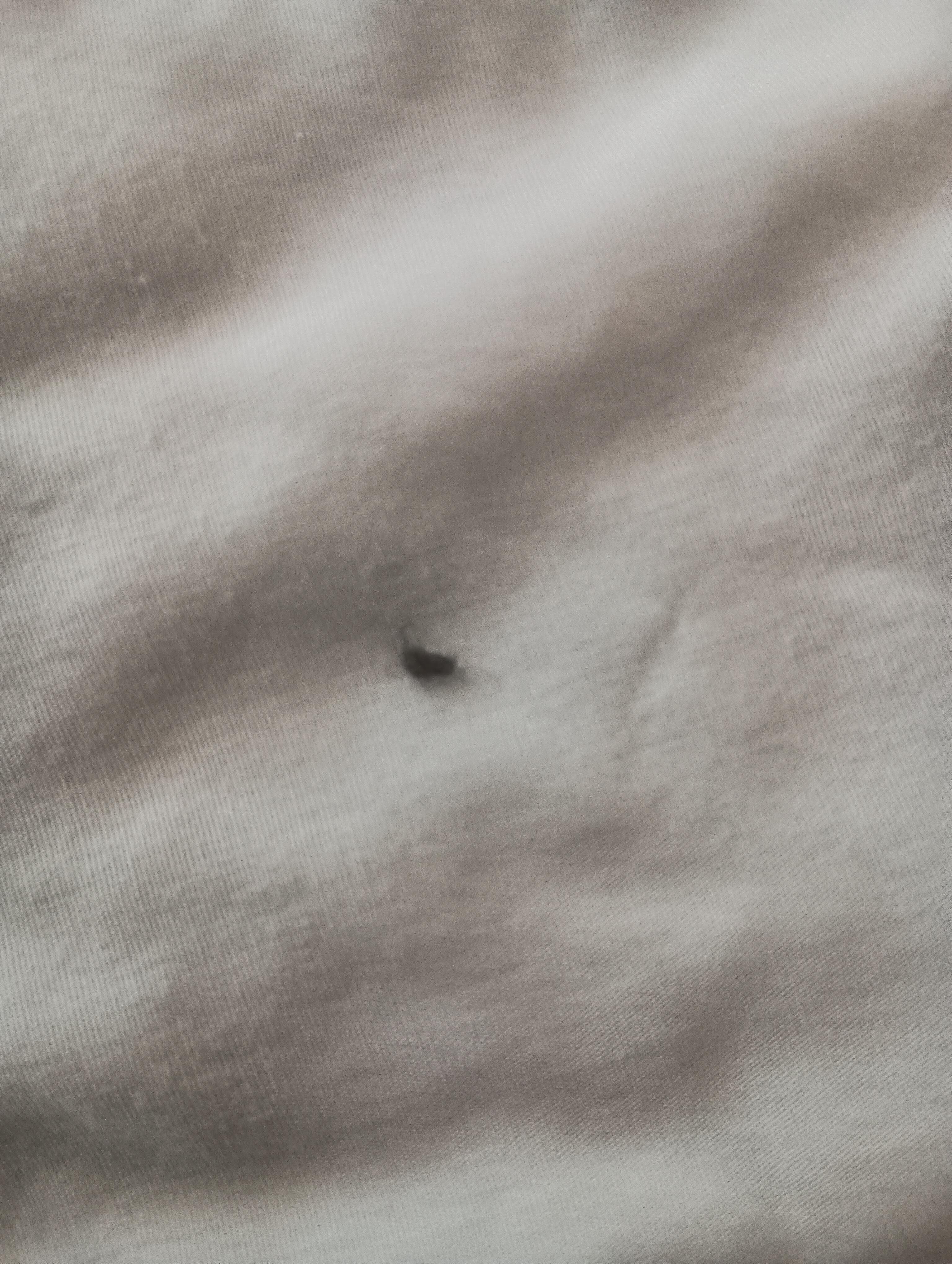 On the bed sheet