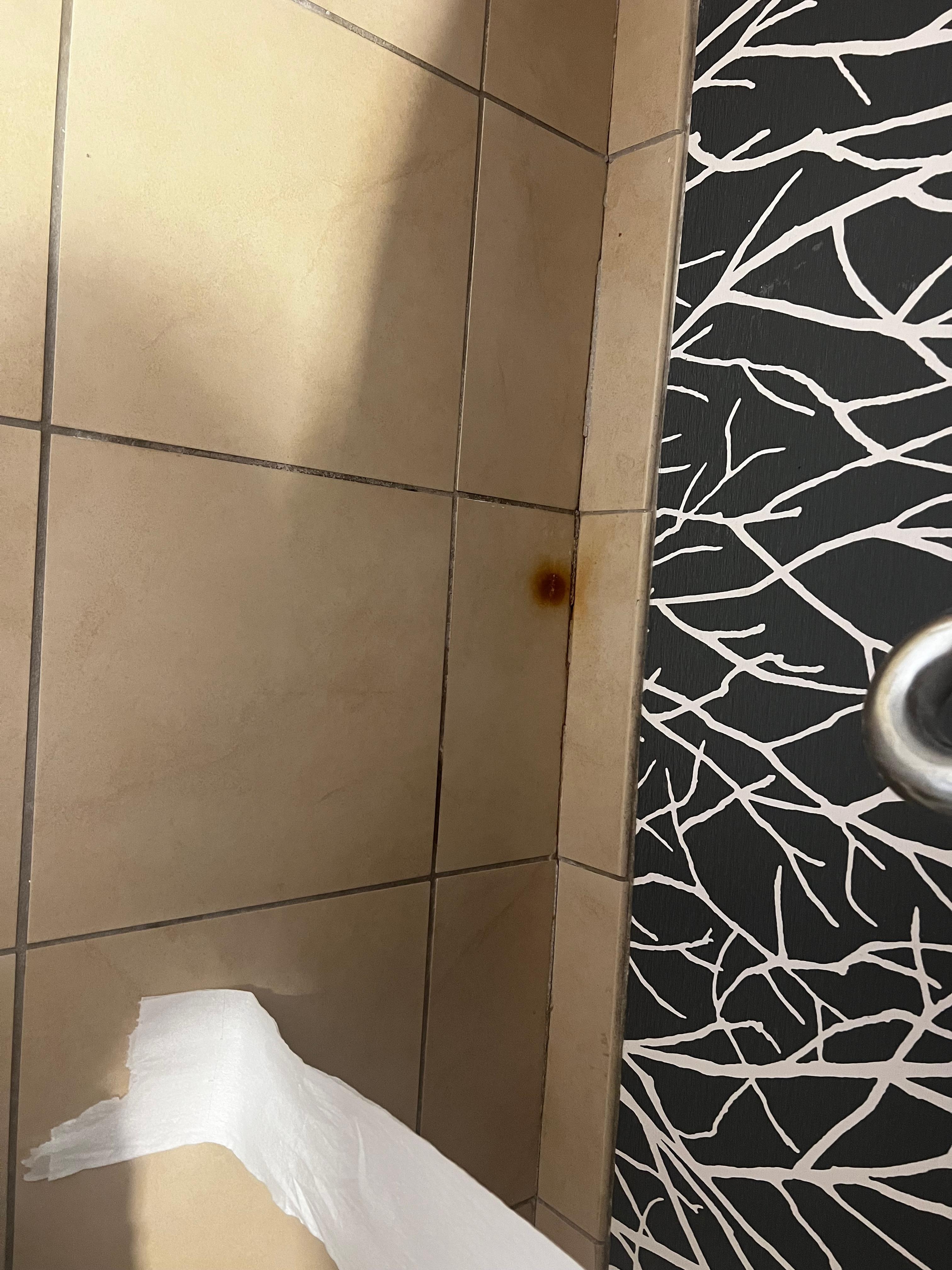 Spot under bathroom sink