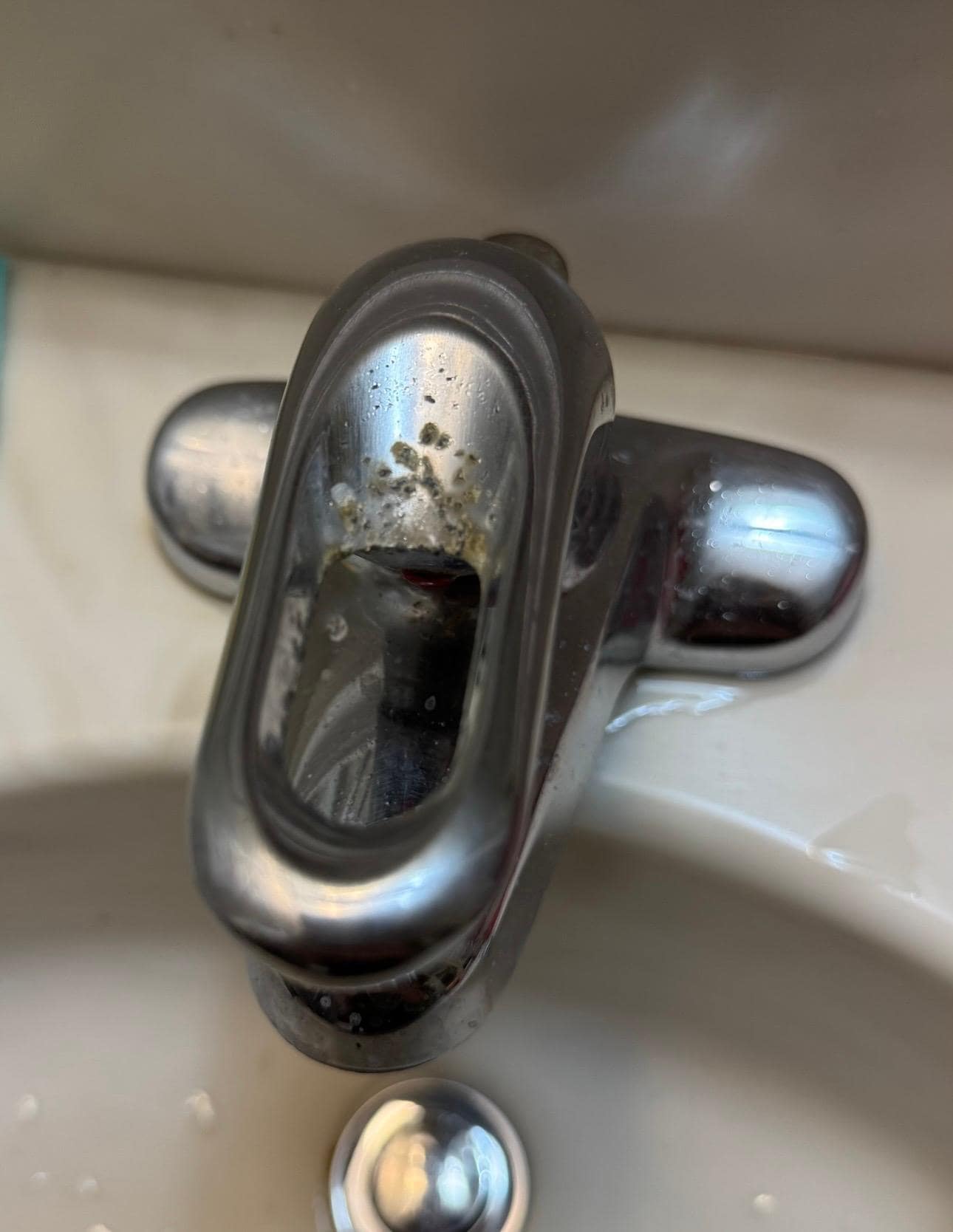 Mold-like thing on faucet 