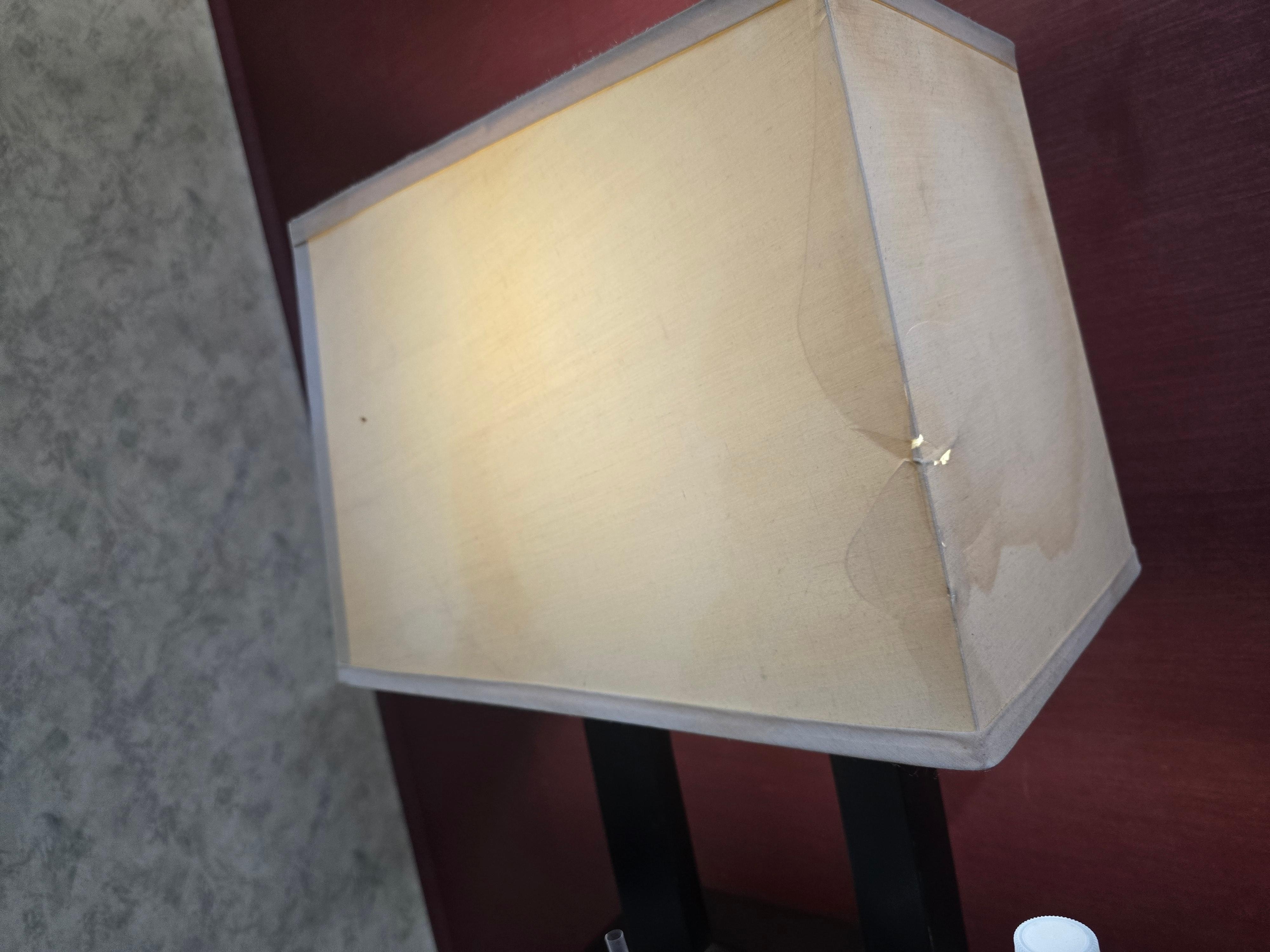 Filthy lamp with boogies smeard on it. I was afraid to touch it.