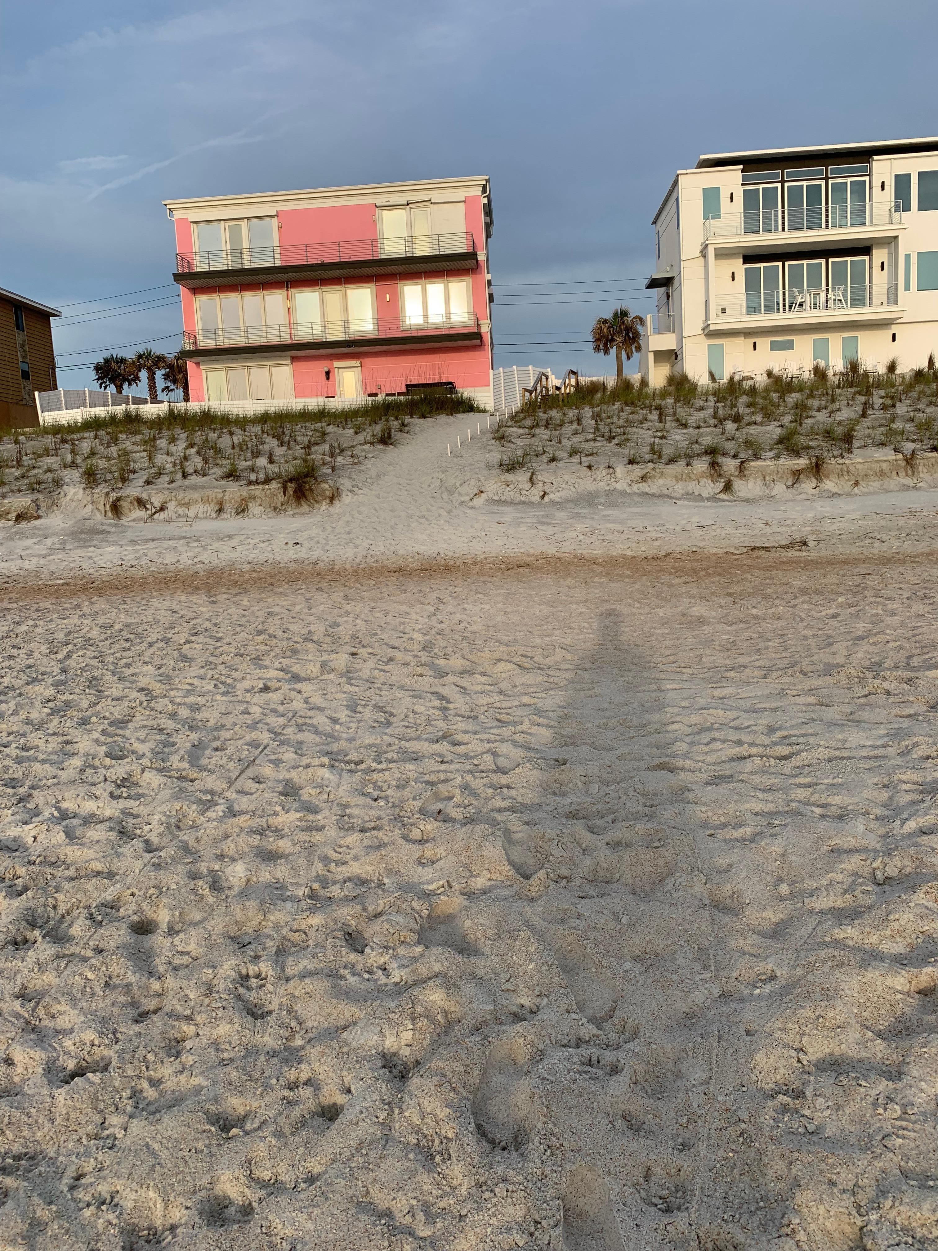 Dune going up to access gate to cross the street to the house