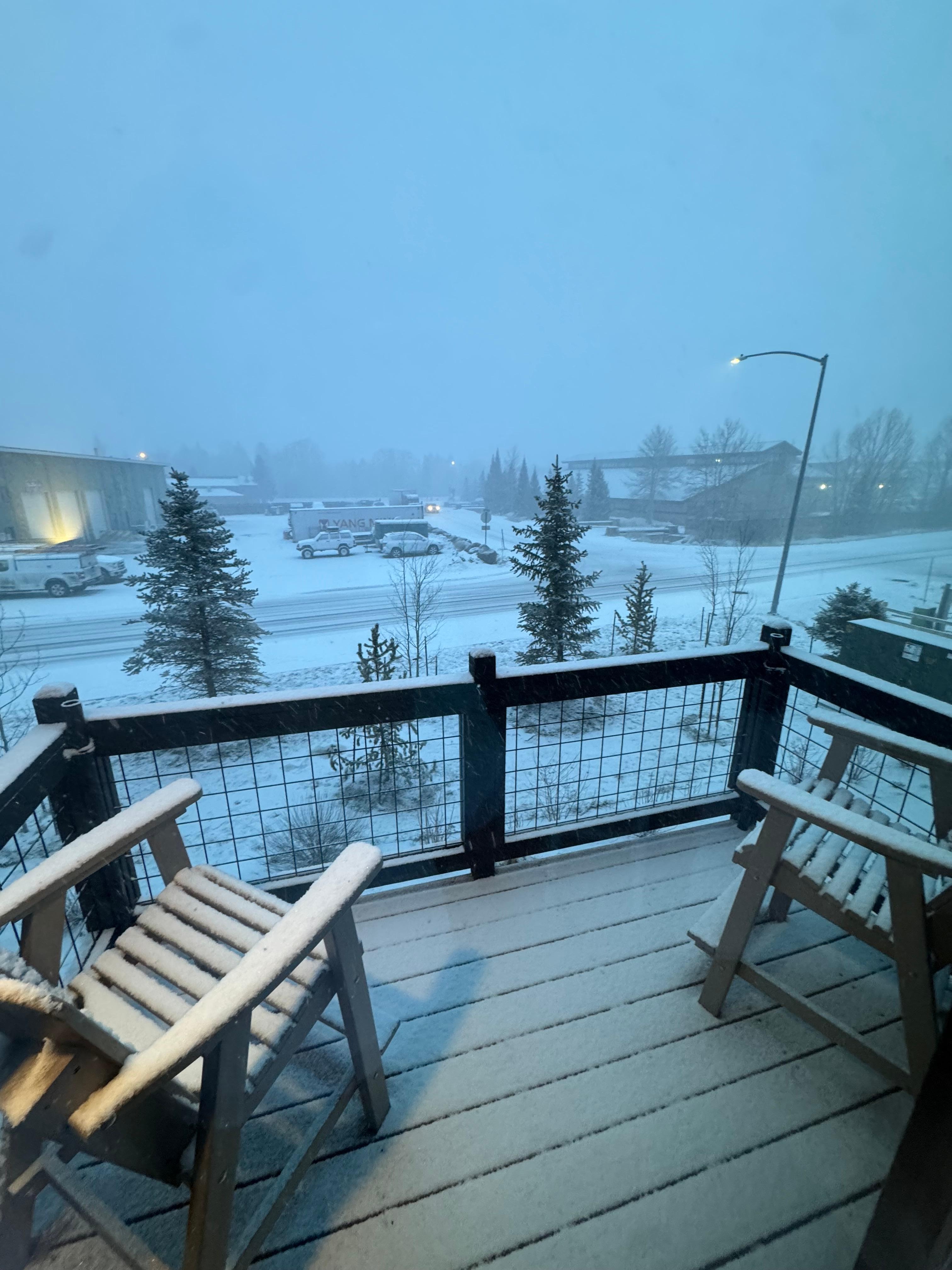 Looking out the sliding doors