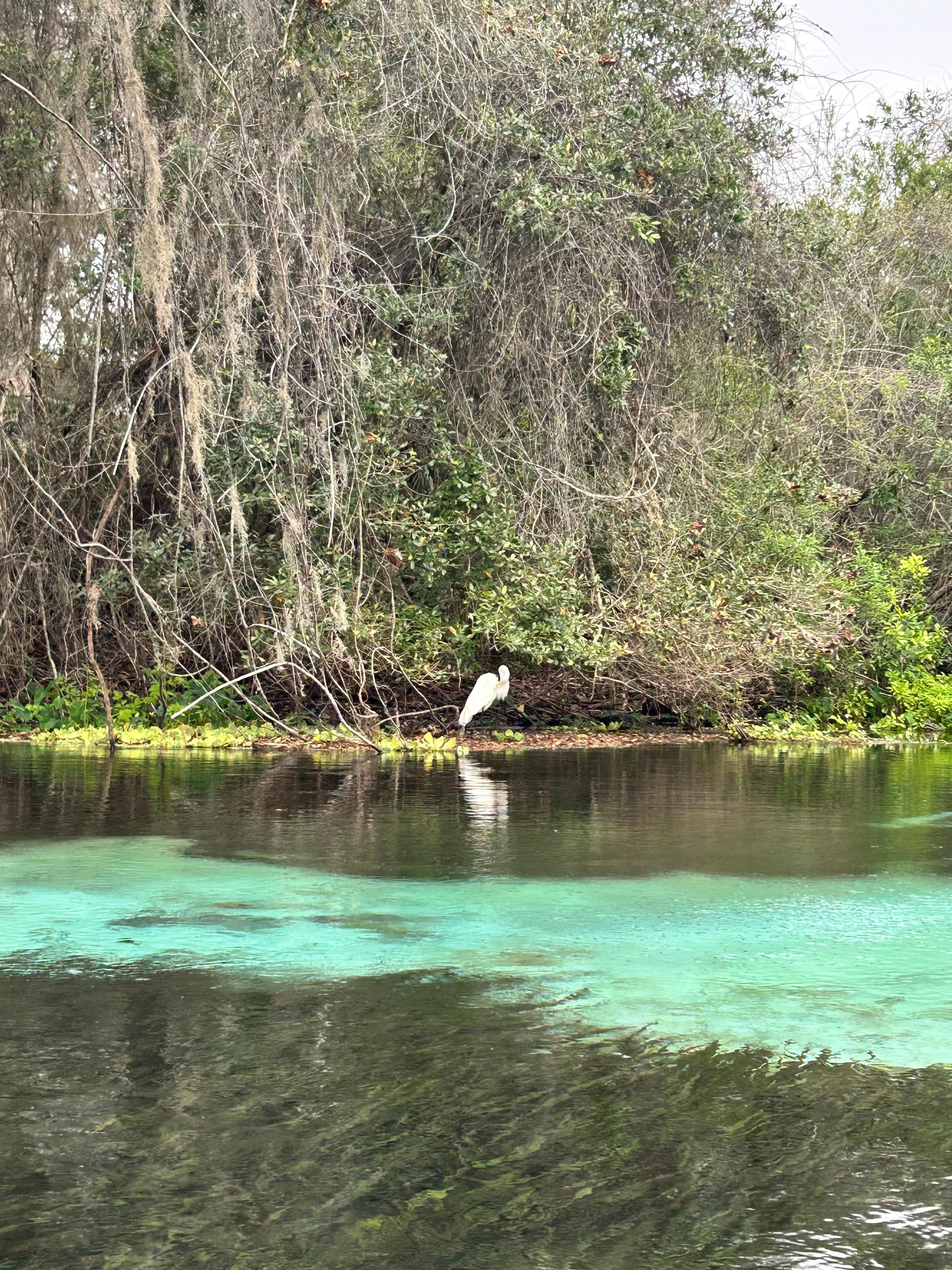 Up towards spring source