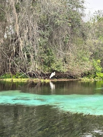 Up towards spring source