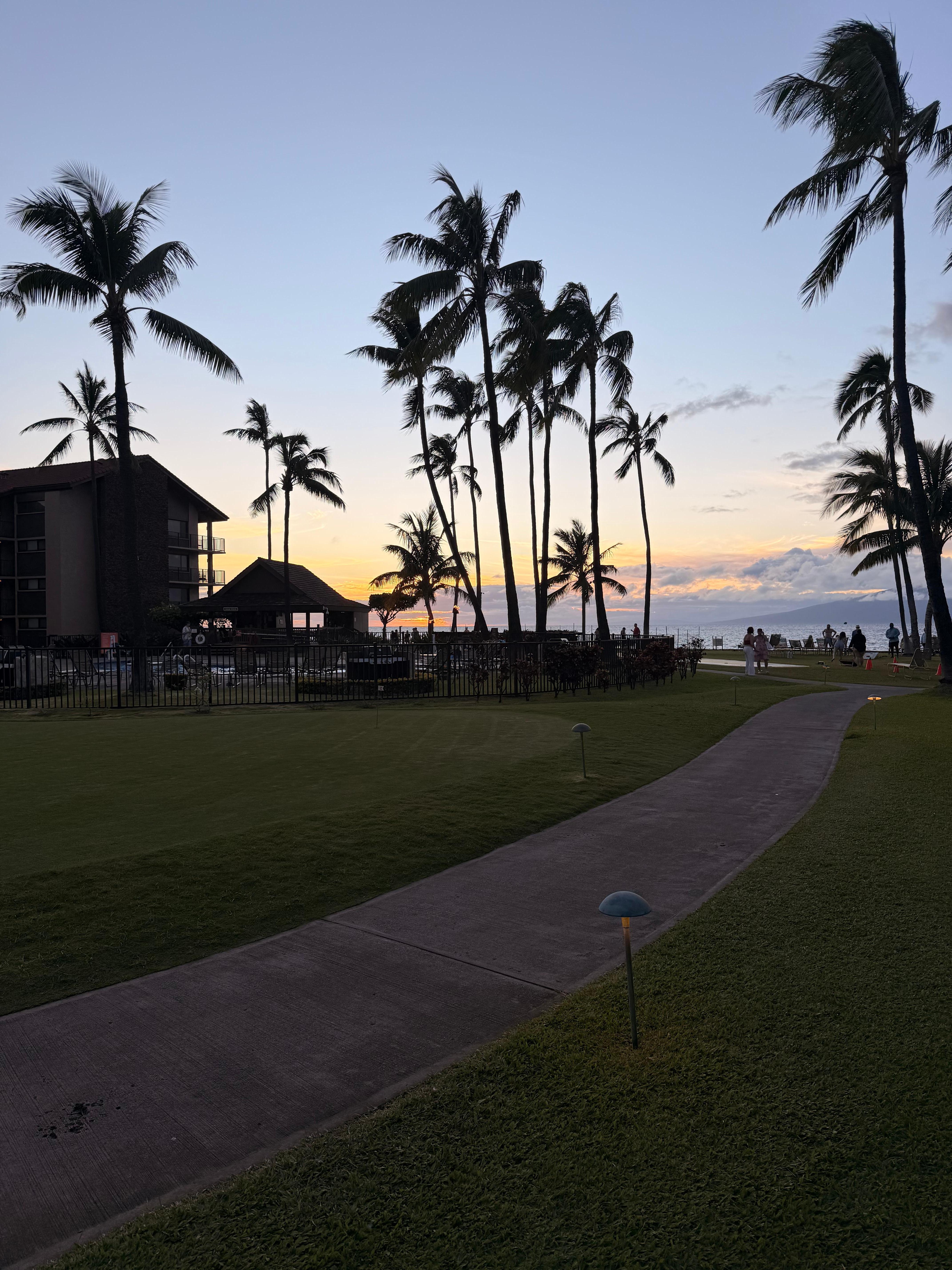 Sunset