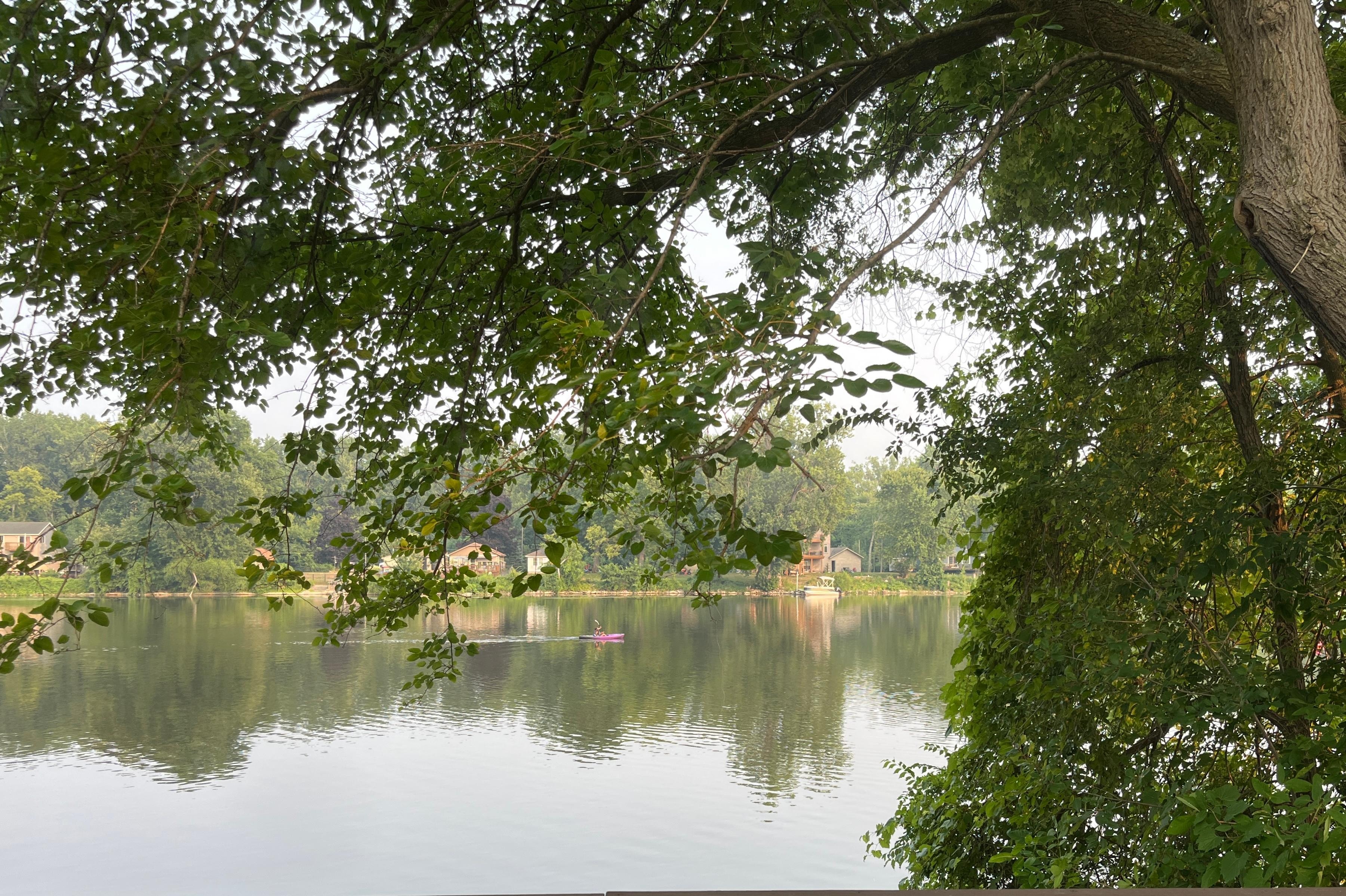 The view looking outside of the back slider.