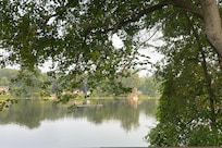 The view looking outside of the back slider.