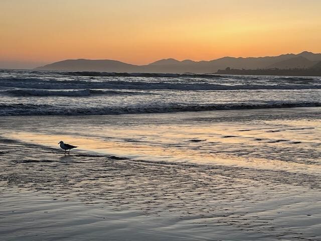 Pismo Beach after sunset