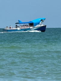Shark boat