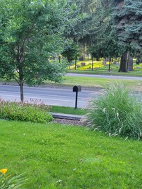 Cemetery across the street