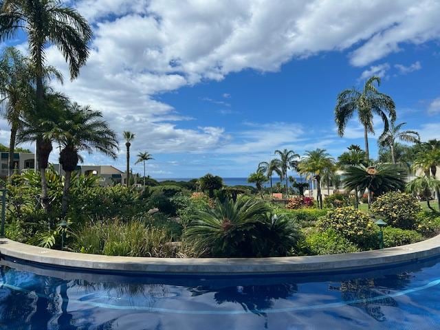 Great View from the Pool