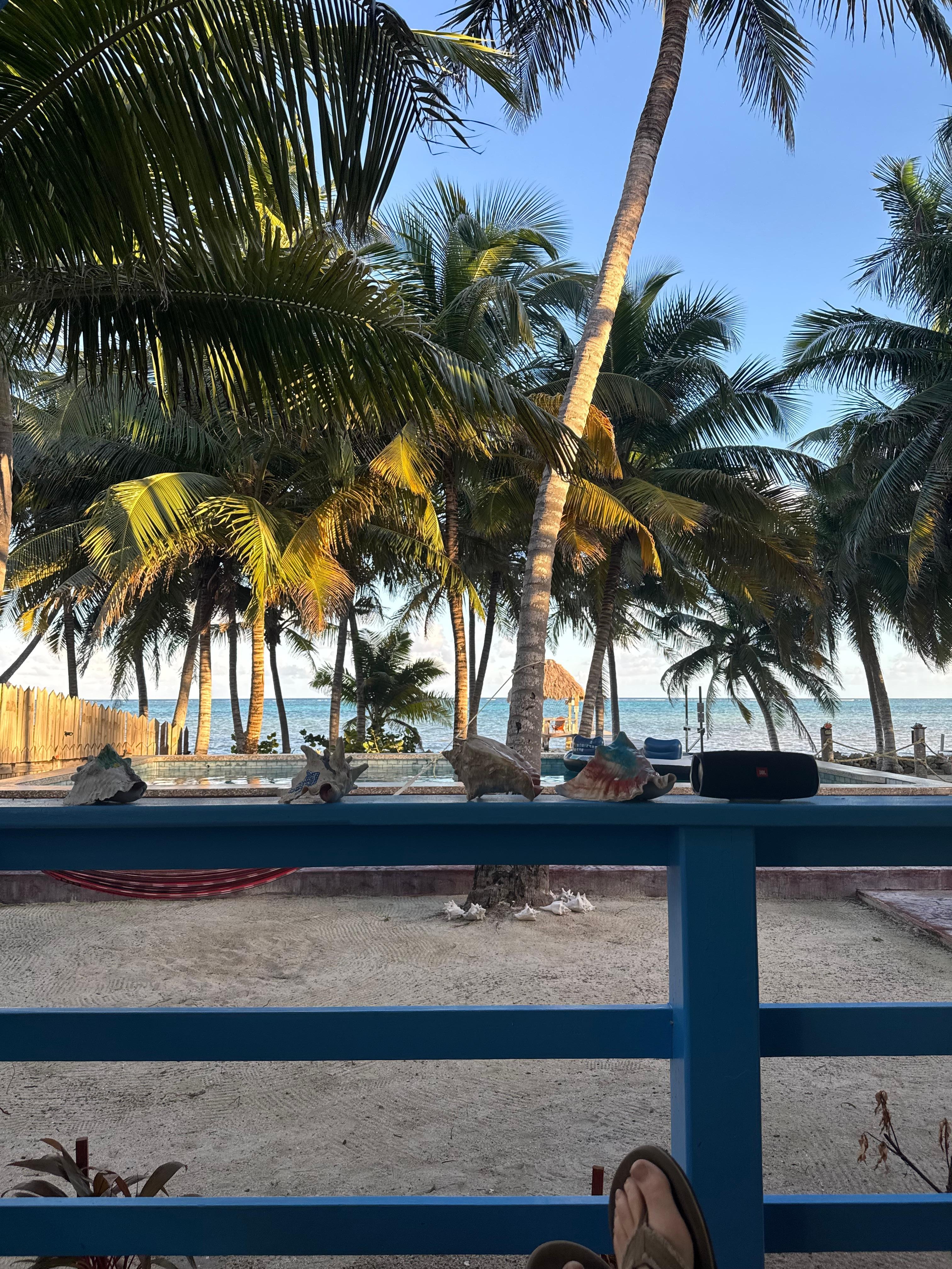 This view was the best medicine God makes!