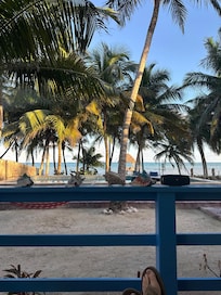 This view was the best medicine God makes!