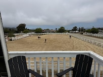 Horse arena