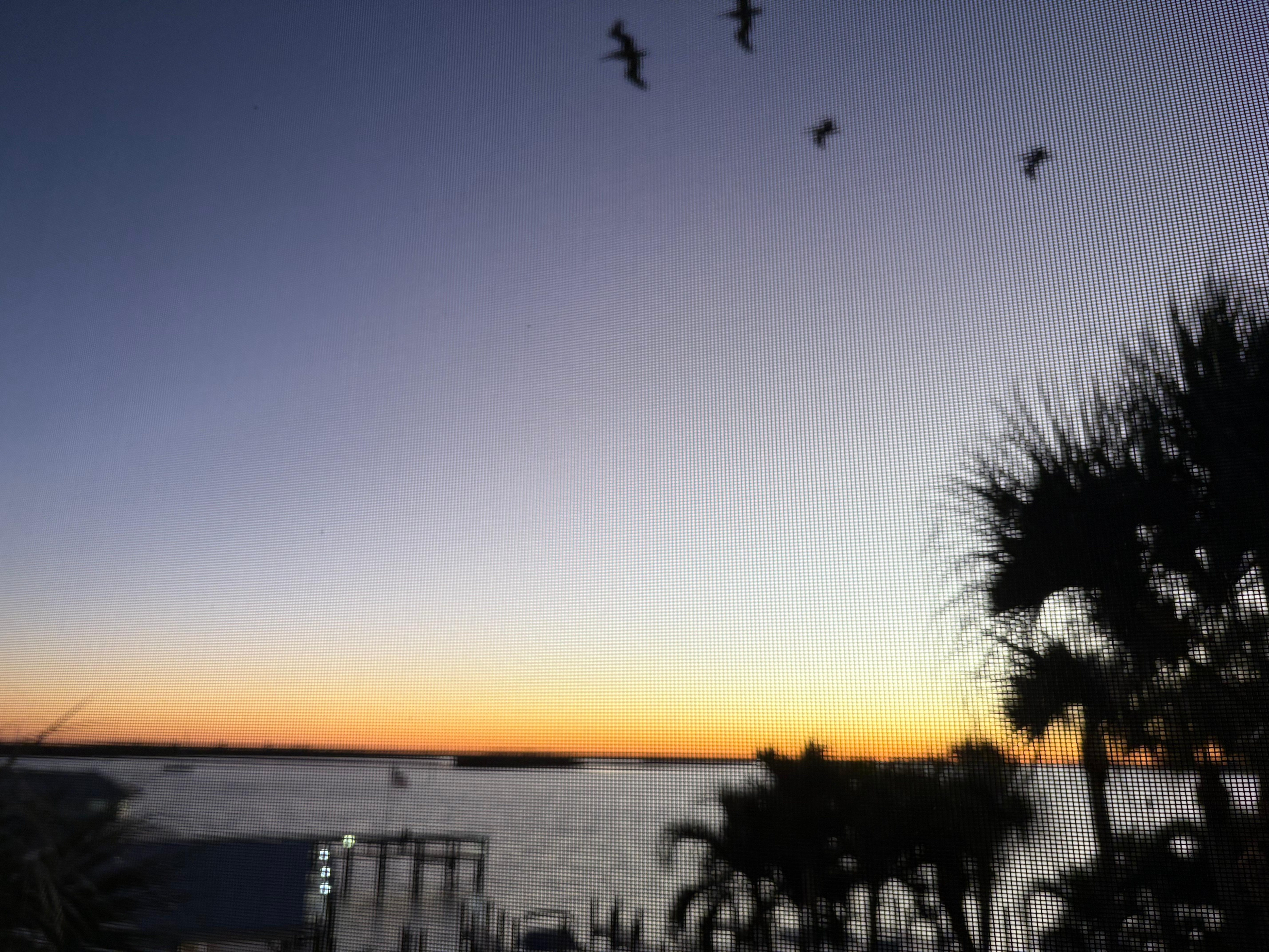 Beautiful sunrise from the patio!