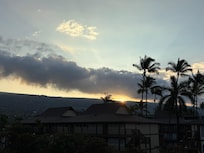 Morning sunrise with beautiful birdsâ singing sounds.