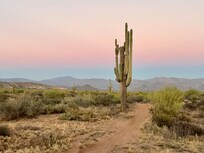 Sonoran Desert Jeep Tour was amazing. Snapped this during sunset.