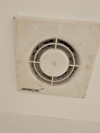 Disgusting Bathroom Vent