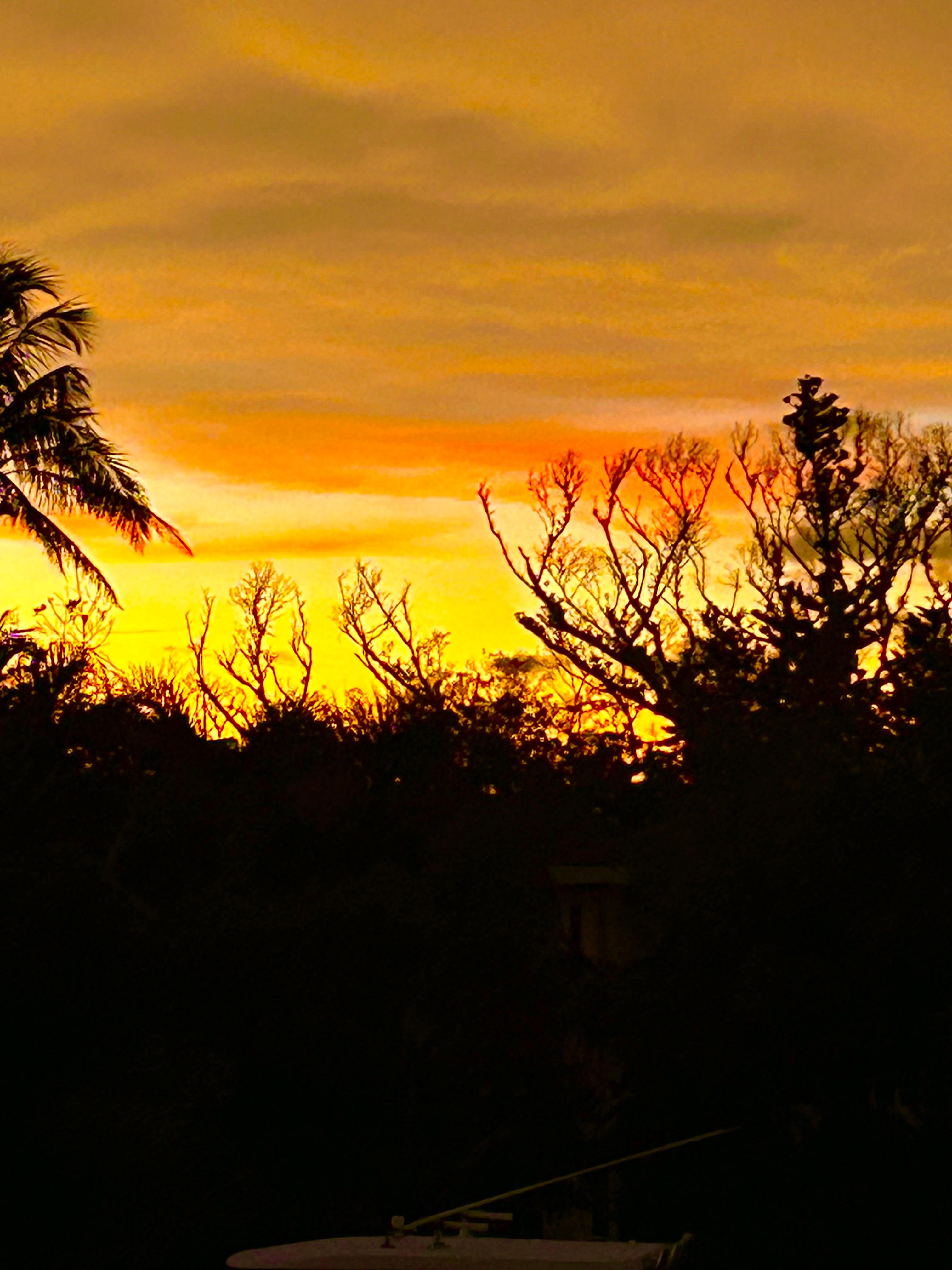 Sunset from the back deck.