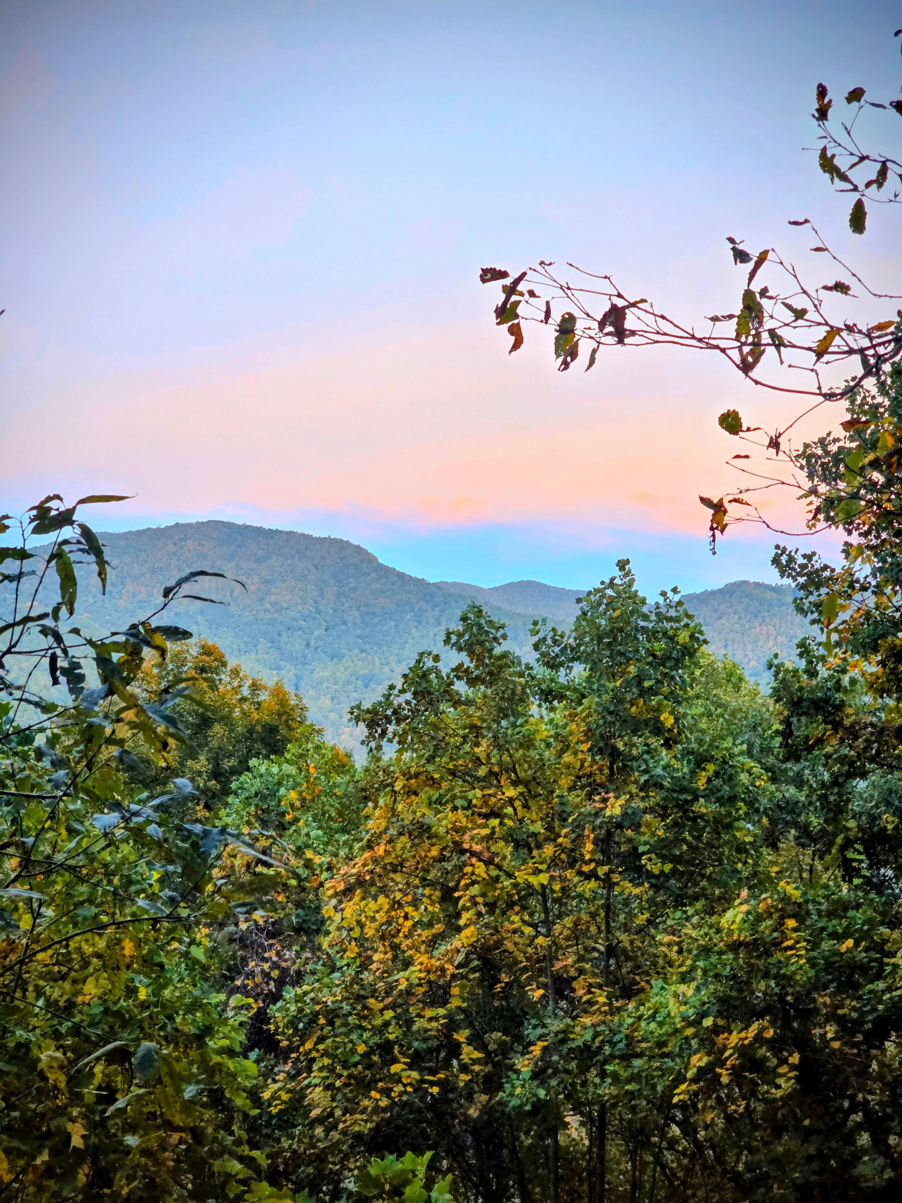 On the back patio at dusk.