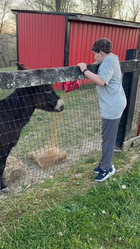 Feeding the donkeys!