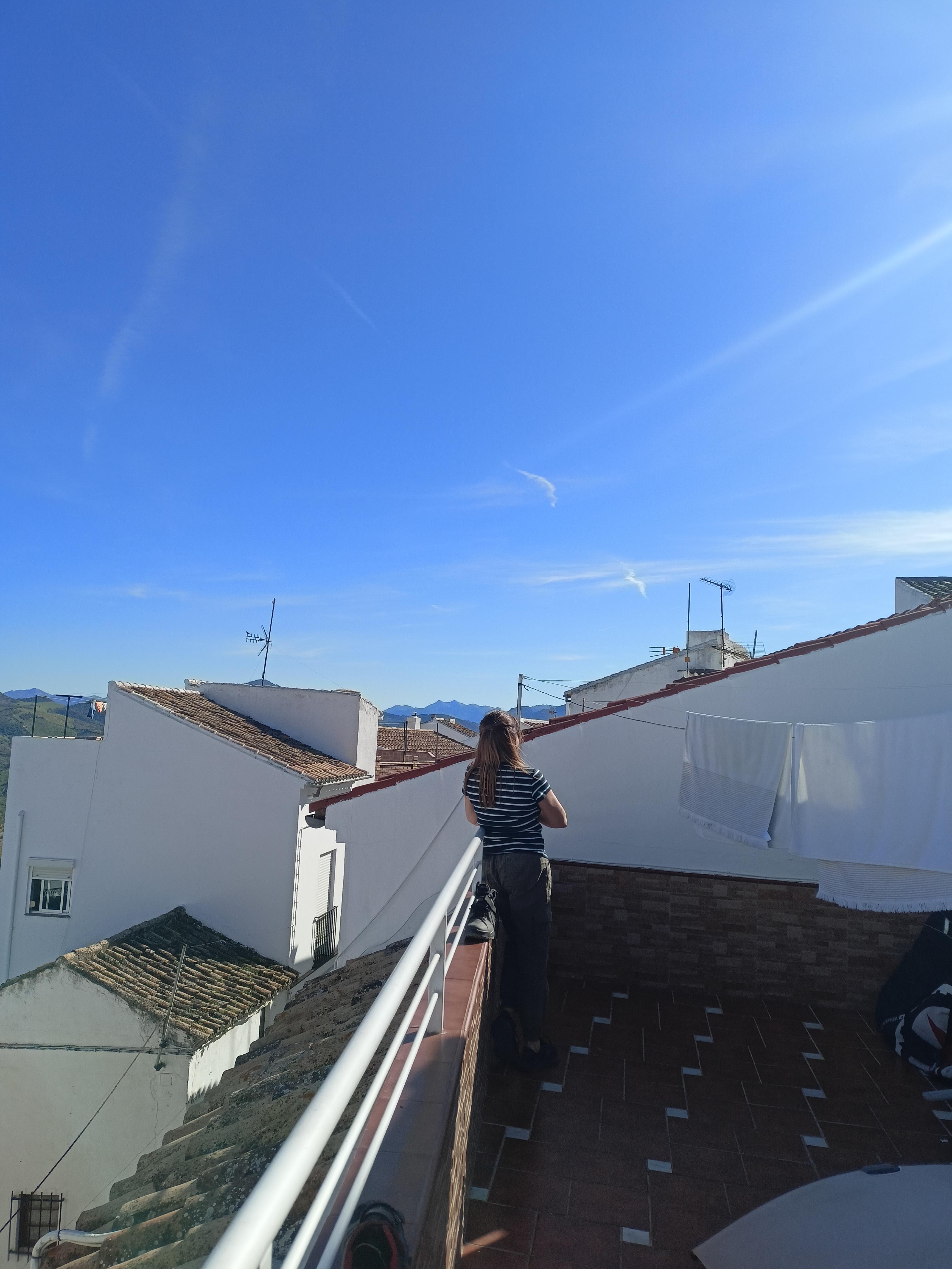 Looking south west from the terrace