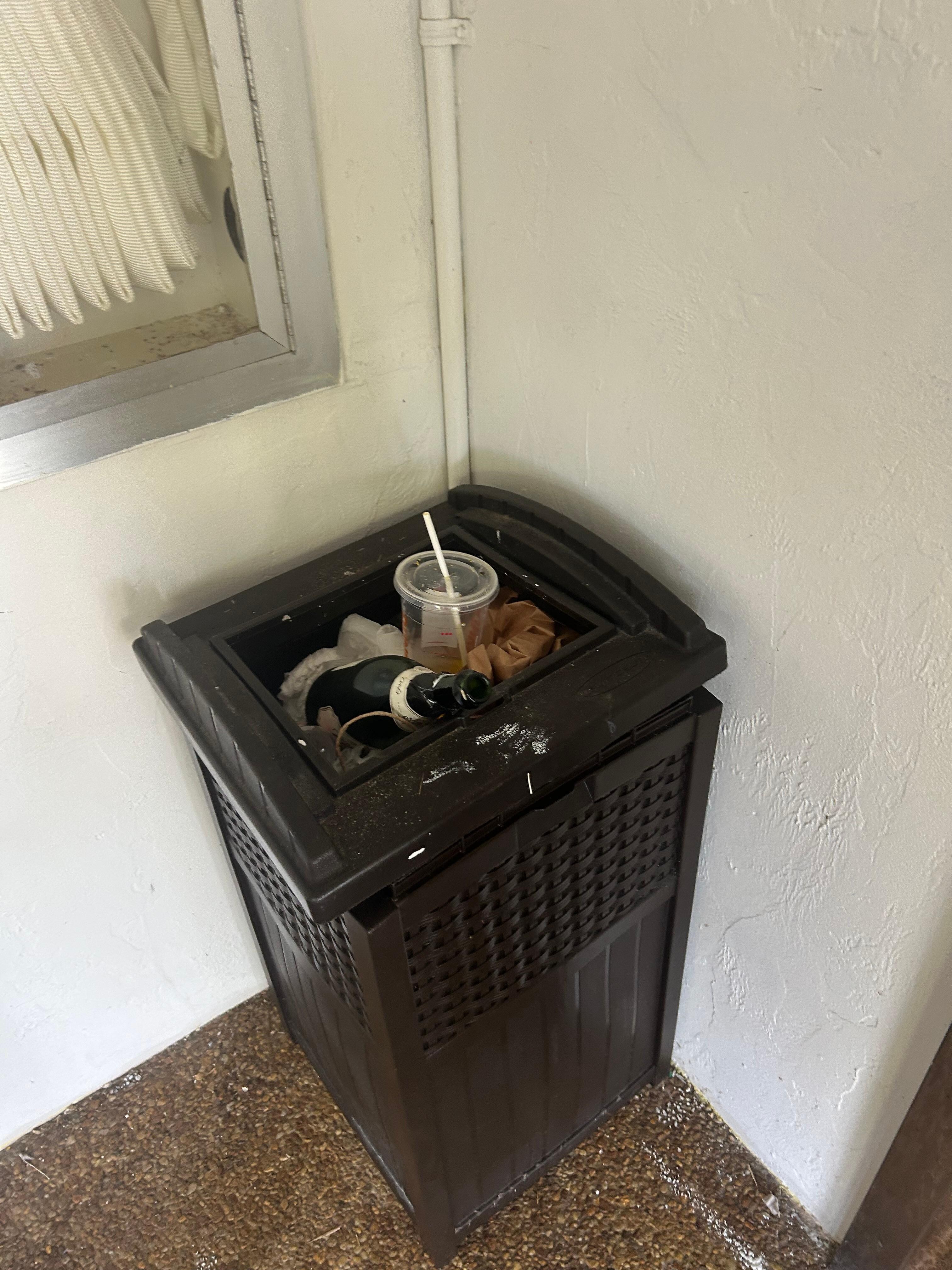 Overflowing trash smelling terribly in heat attracting bugs