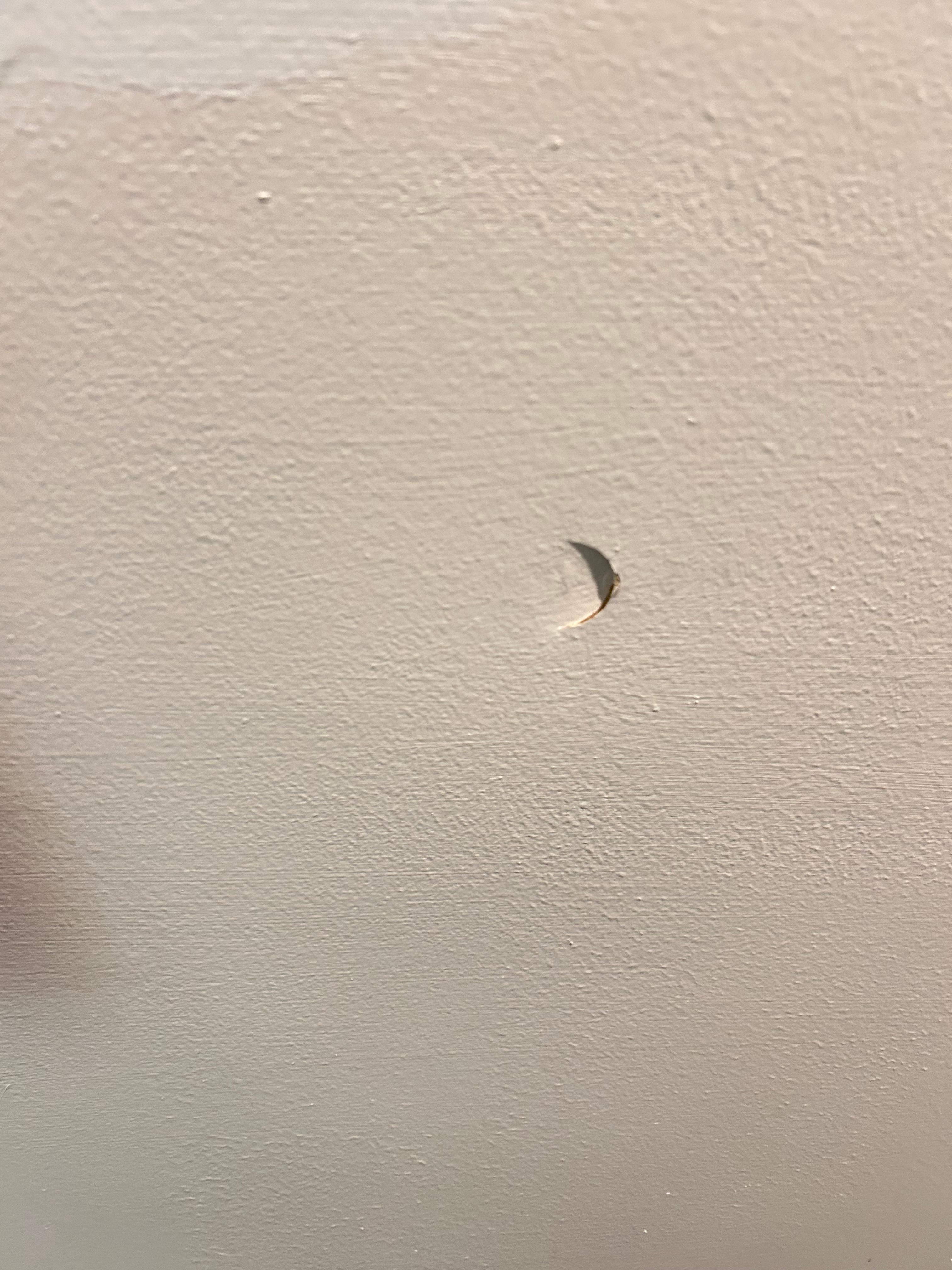 Hole in closet door