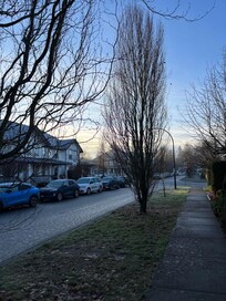 Lovely neighbourhood