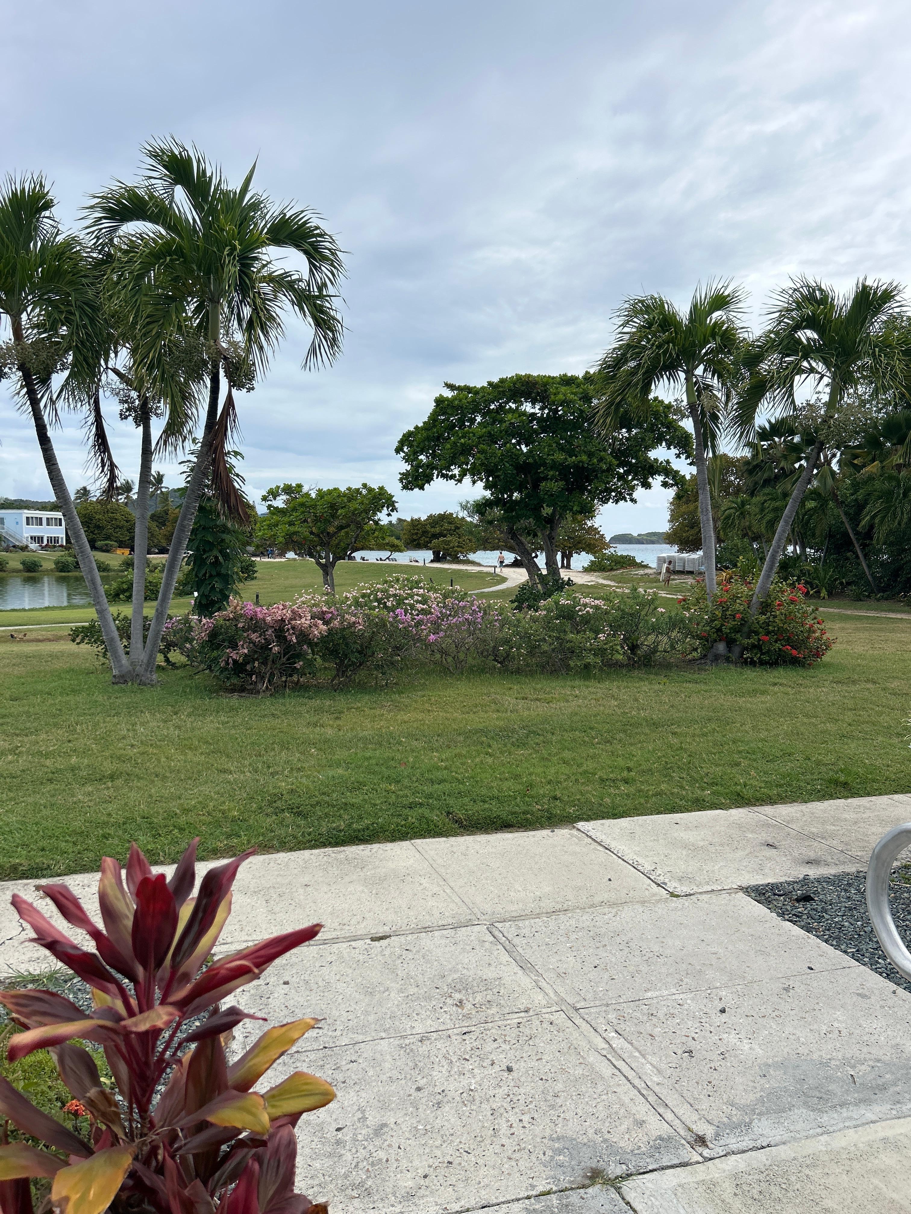 This is from the front door looking toward the beach.