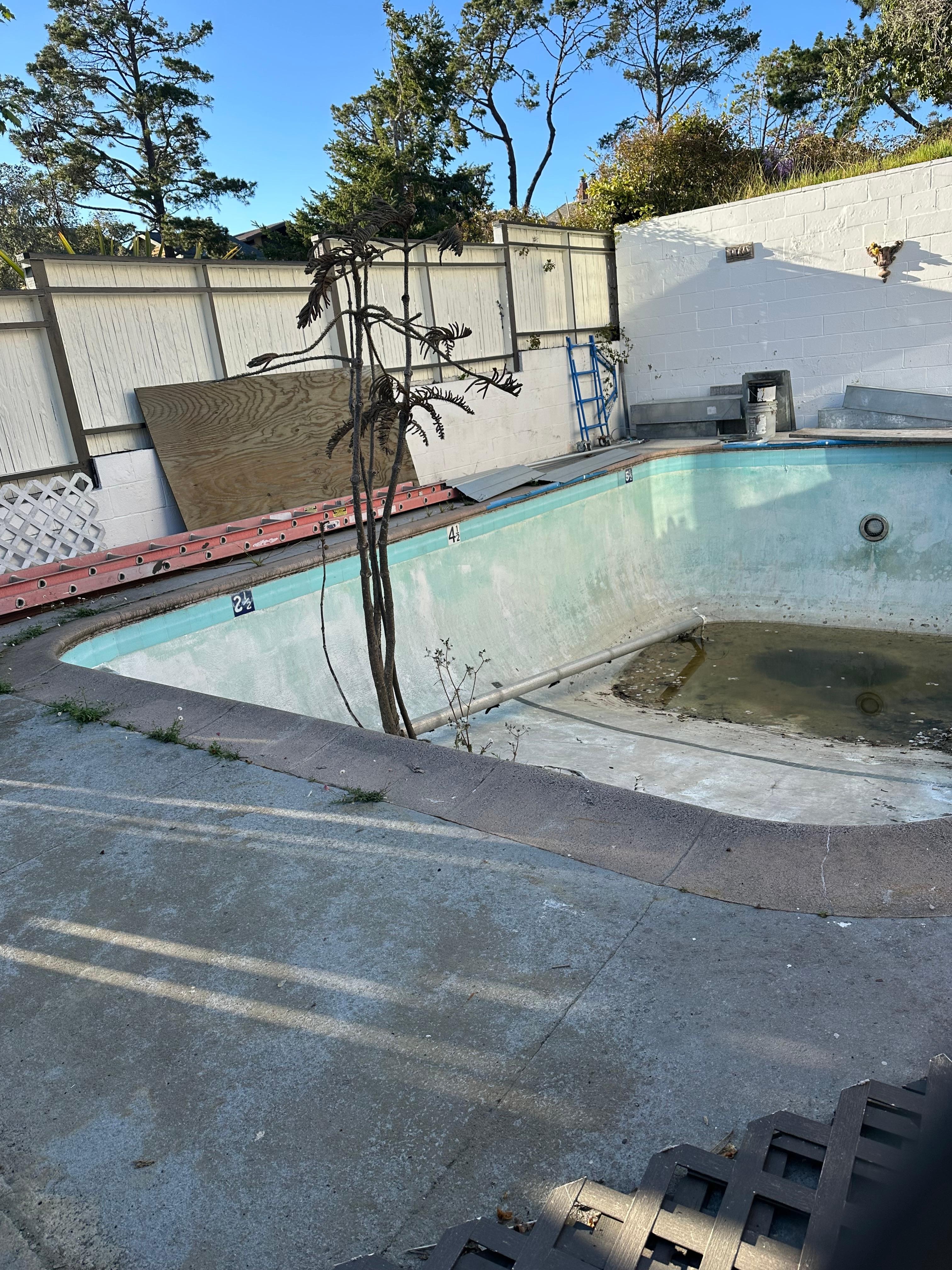 Stagnant water and debris in the "pool".