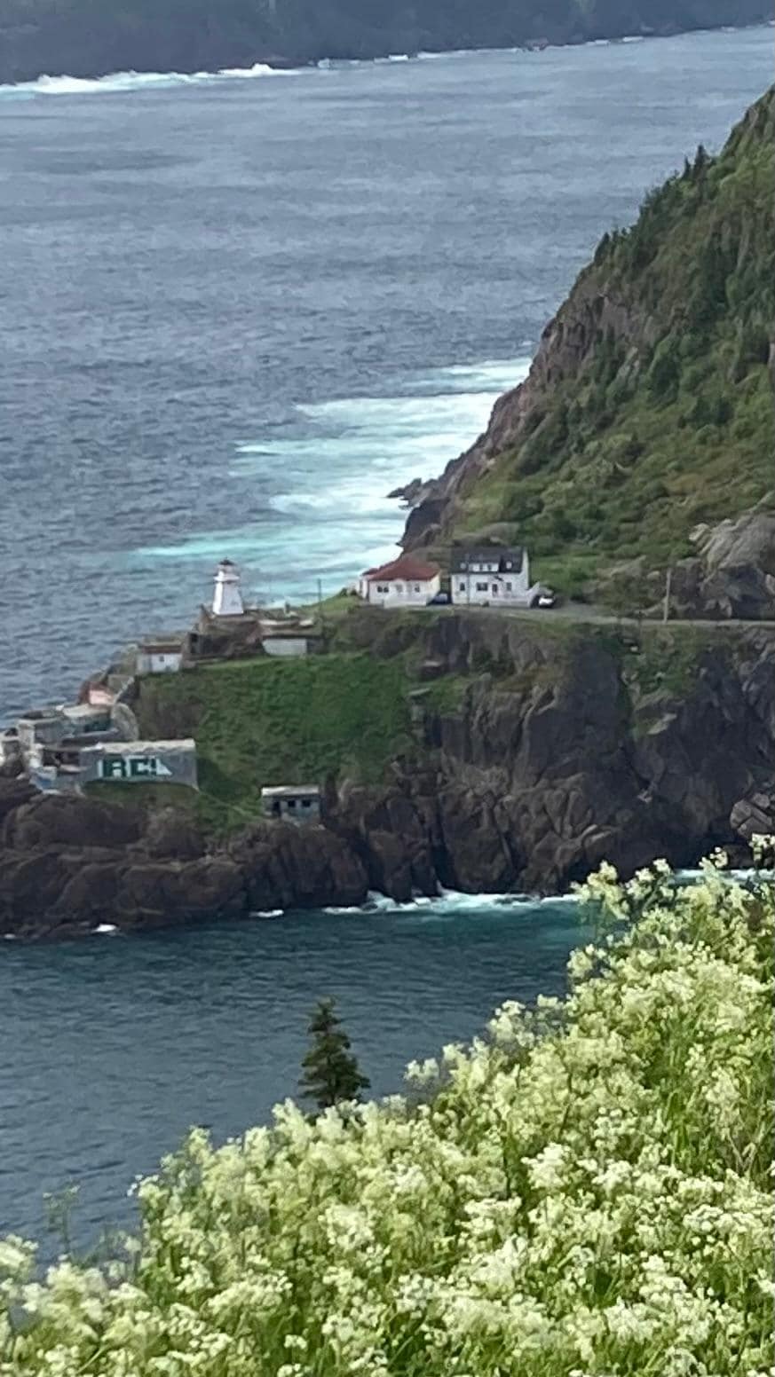 The lighthouses from Signal Hill 