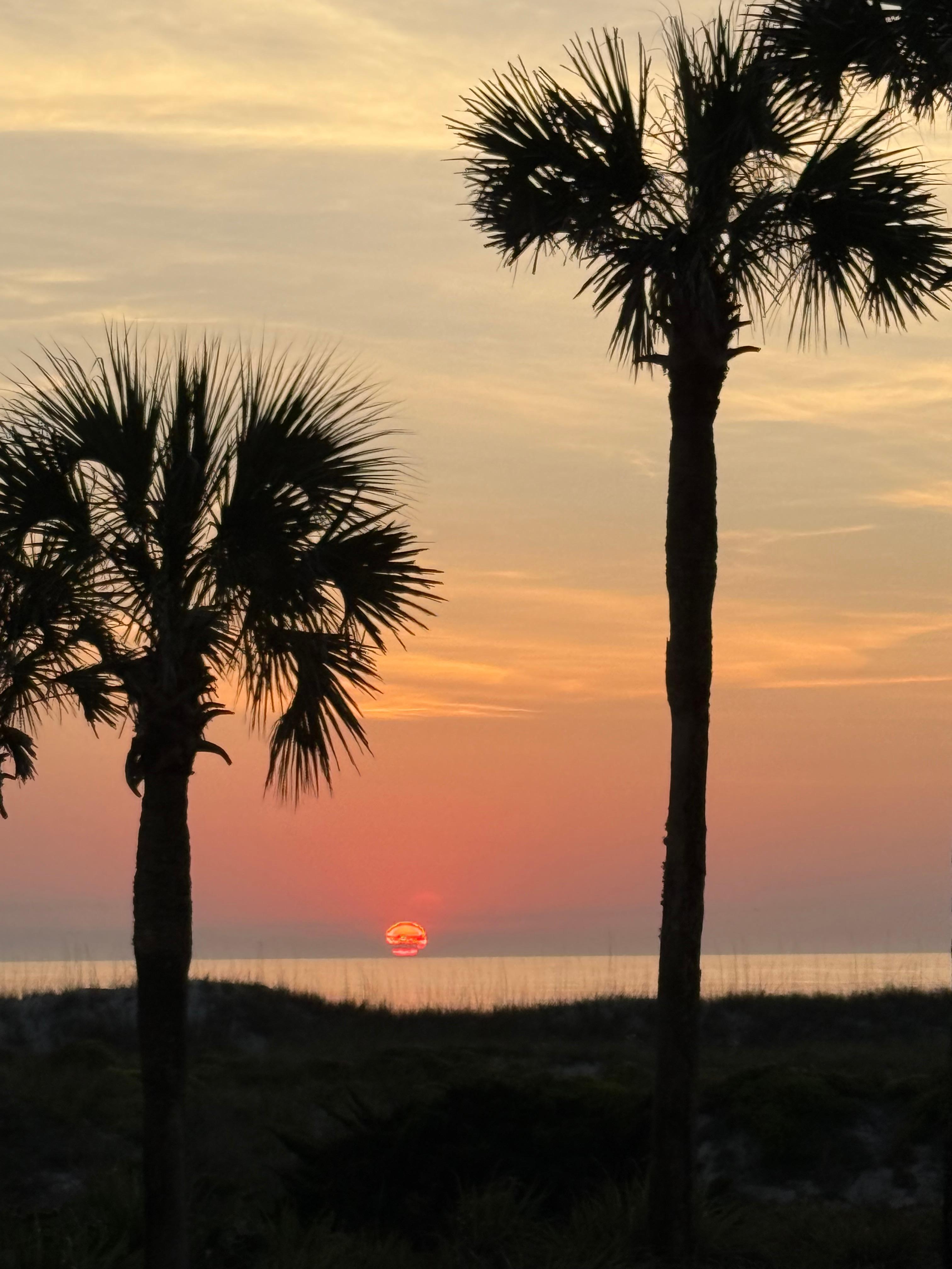Morning sunrise, shot from the back patio.