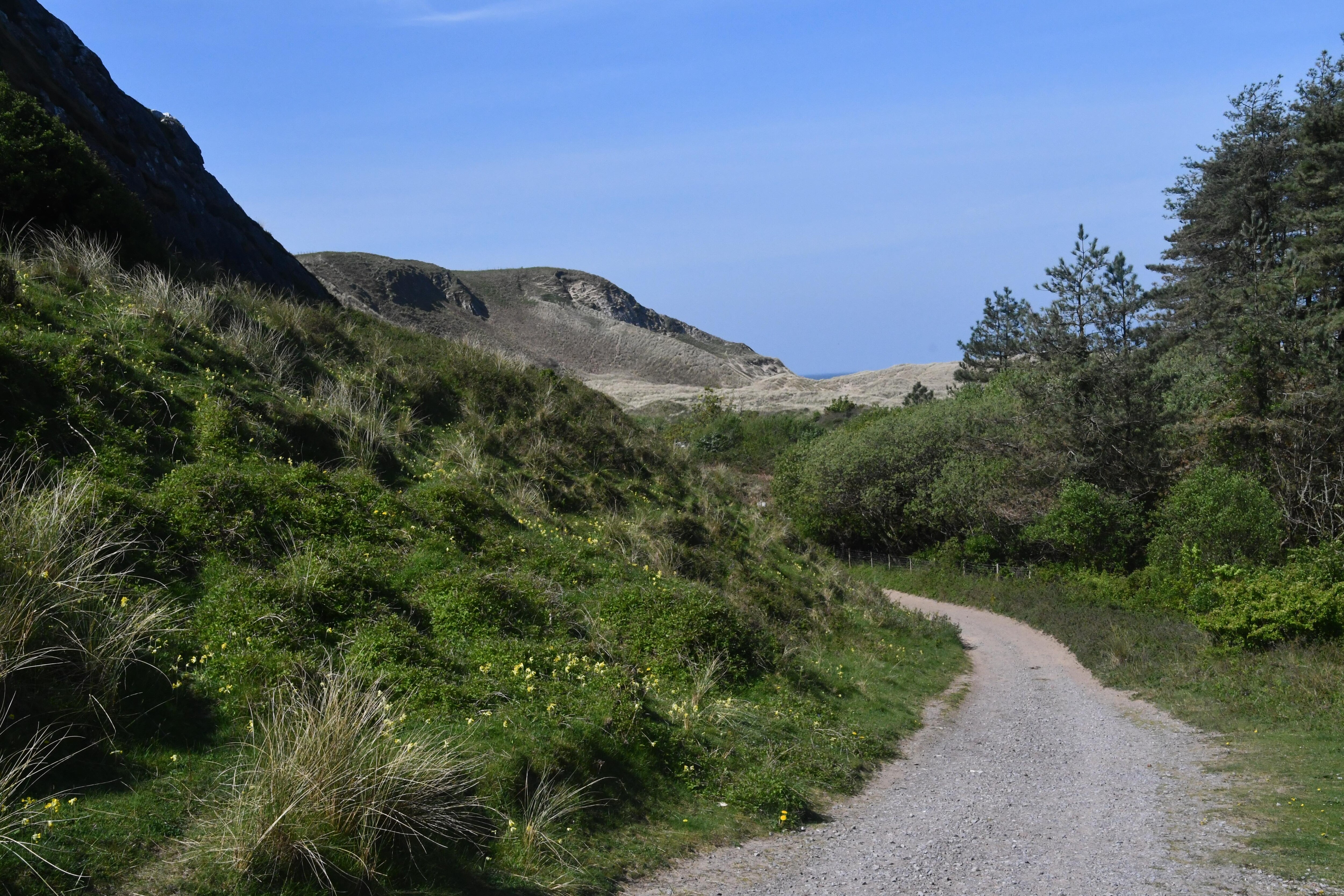 Towards Whiteford Nature Reserve.