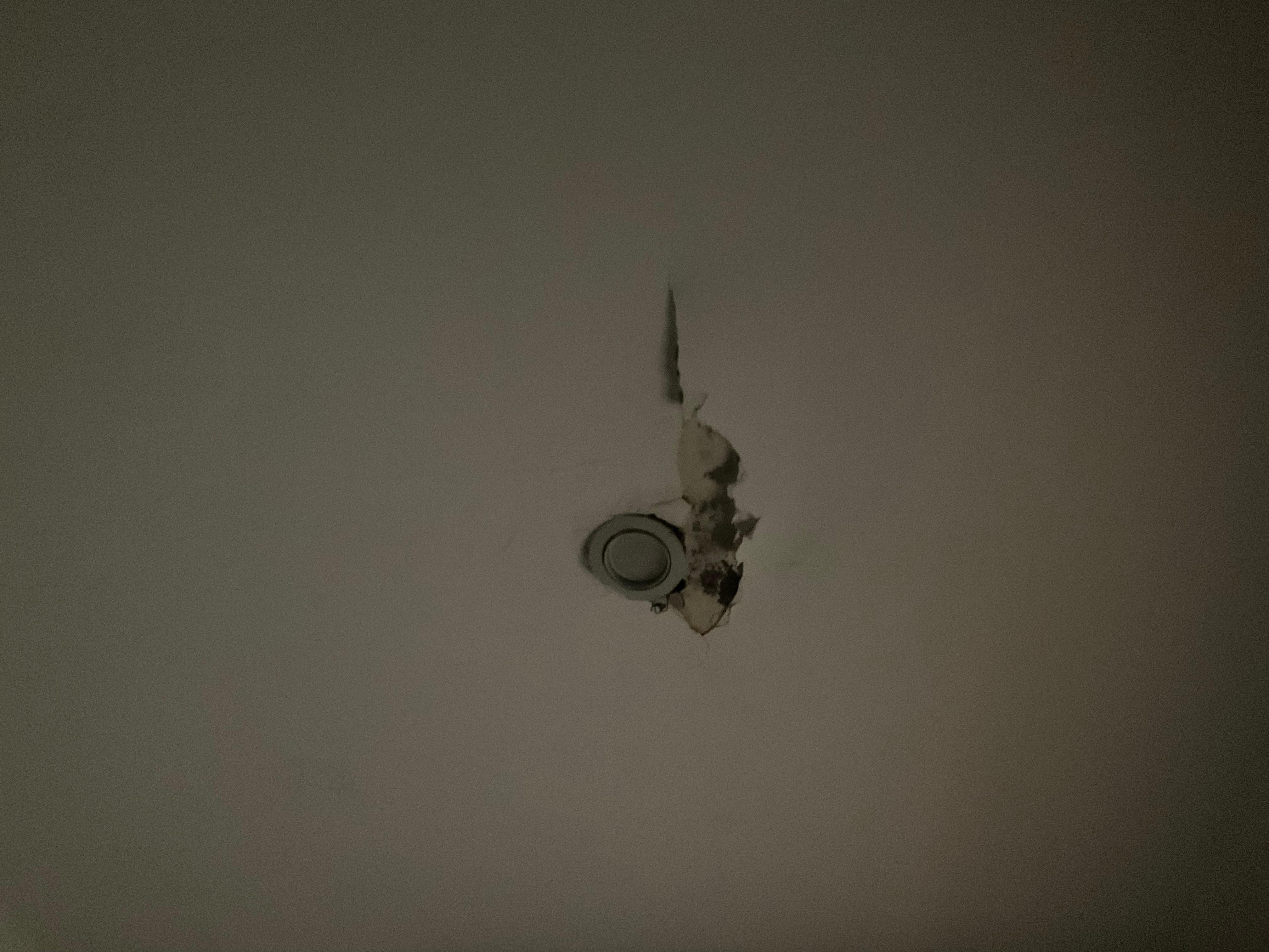 Black mold from ceiling