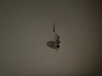 Black mold from ceiling