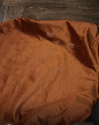 These stains were on the throw that was on my children’s bed, disgusting!