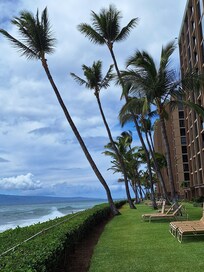 Sunny afternoon downstairs on the lawn looking at the Lanai Tower