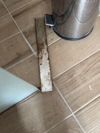 Shower drain