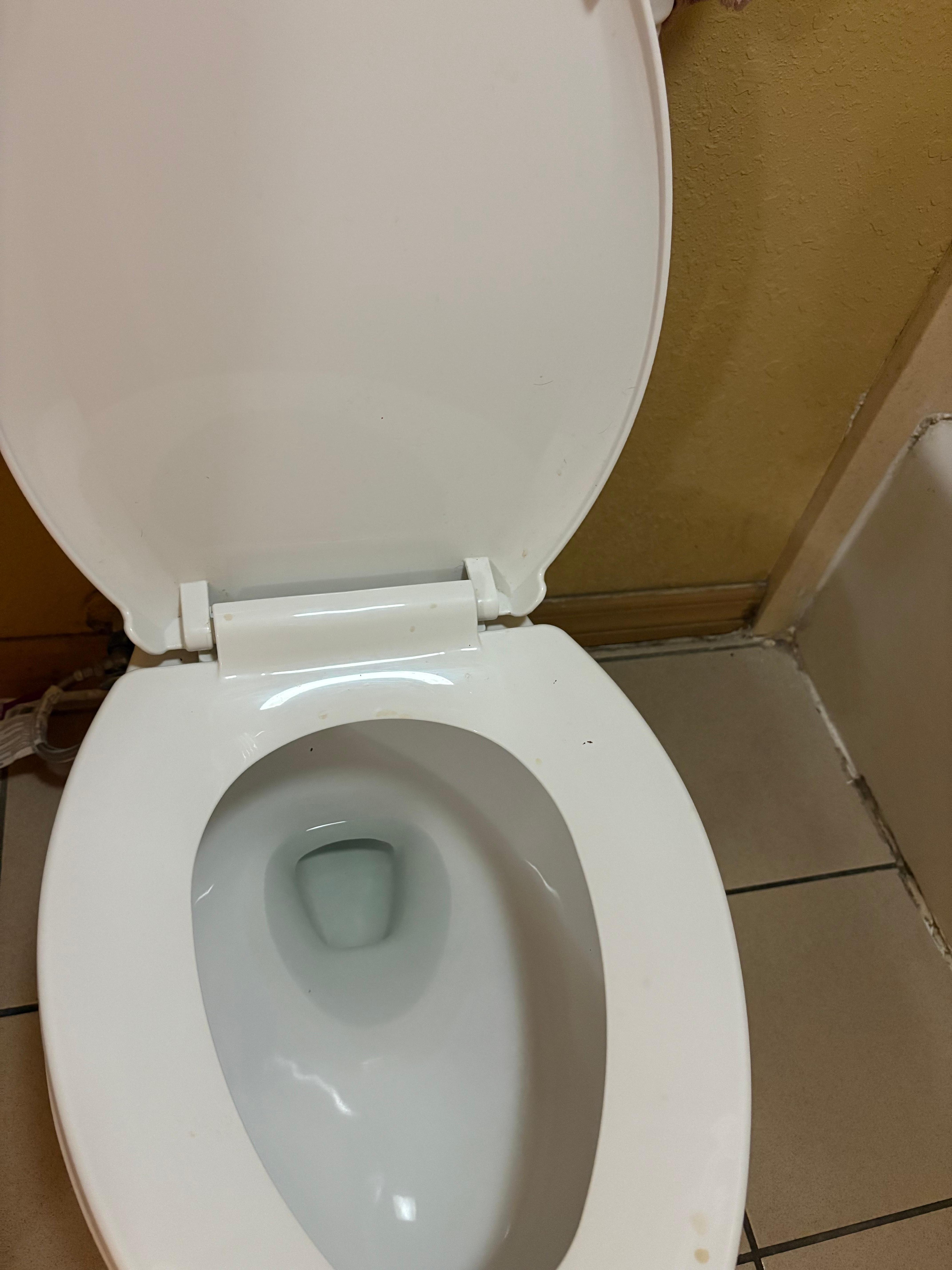 La tapa de la poceta estaba sucia