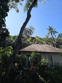 The greenery.